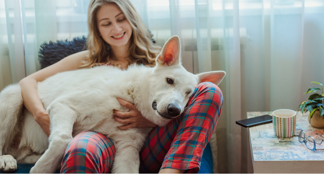 Stay-at-Home Dog Moms: Benefits of Remote Work with Dogs